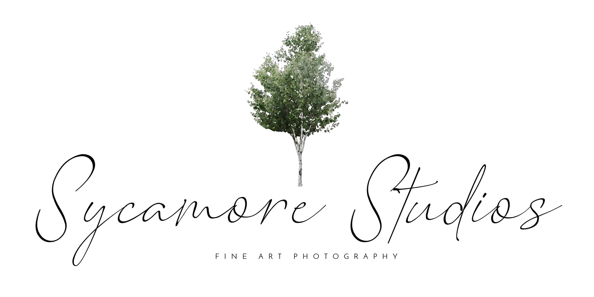 Sycamore Studios — Fine Art Photography
